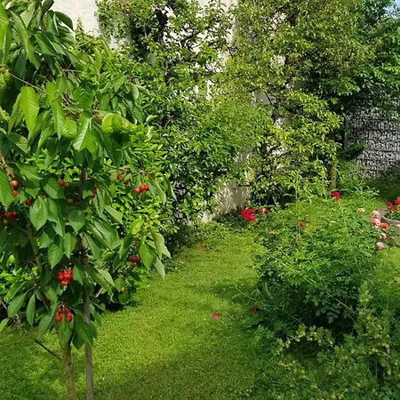 Apartment Ferienhaus Blüml Am Bodensee Bodman-Ludwigshafen