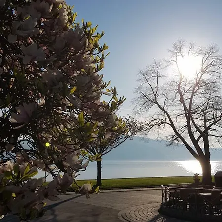 Ferienhaus Blüml Am Bodensee Apartment